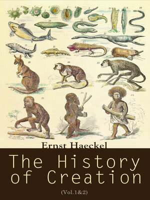 cover image of The History of Creation (Volume1&2)